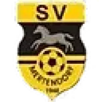 SV Mertendorf