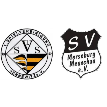 (E) JSG Nördl.Saalekreis <span class="nowrap bold mx-1">1 : 3</span> SV Meuschau