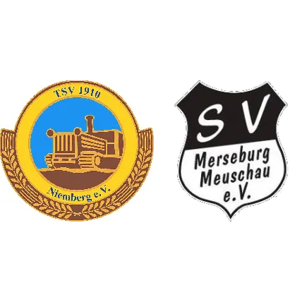 (C) TSV 1910 Niemberg <span class="nowrap bold mx-1">4 : 2</span> SV Meuschau