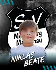 Niklas Beate