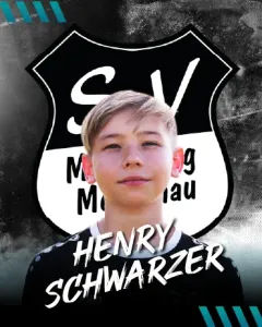 Henry Schwarzer
