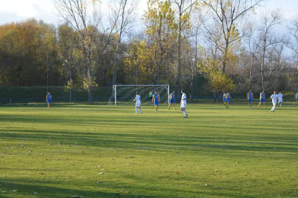 07.11.2015 SV Meuschau vs. SV 46 Barnstädt