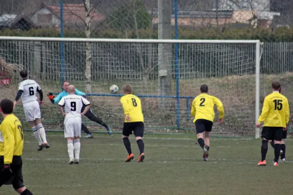 12.03.2016 SV Meuschau vs. VfL Roßbach 1921