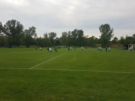 21.09.2017 SV Meuschau II vs. RB Leipzig U11