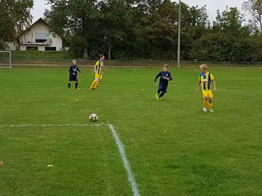 09.09.2017 SV Meuschau II vs. SG Reussen