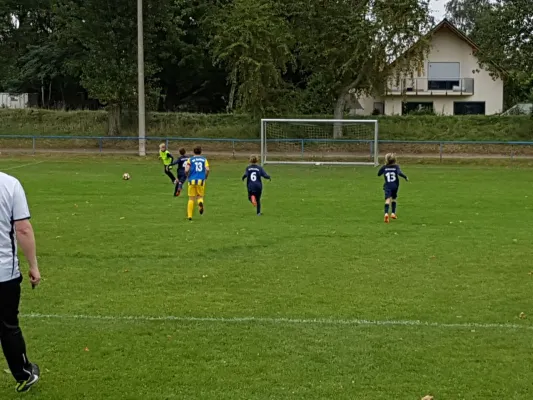 09.09.2017 SV Meuschau II vs. SG Reussen