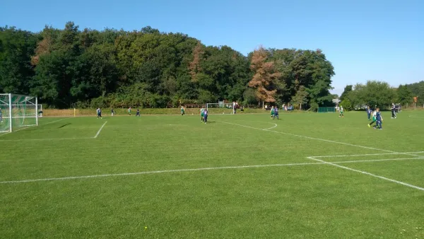16.09.2017 Wettiner SV 1920 vs. SV Meuschau II