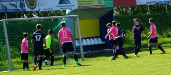 28.04.2018 TSV 1910 Niemberg vs. SV Meuschau II