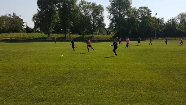 26.05.2018 SV Meuschau II vs. TSV 1910 Niemberg