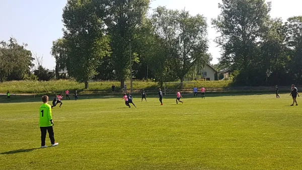 26.05.2018 SV Meuschau II vs. TSV 1910 Niemberg