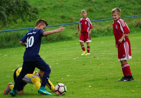 17.08.2017 SV Meuschau II vs. SG Spergau