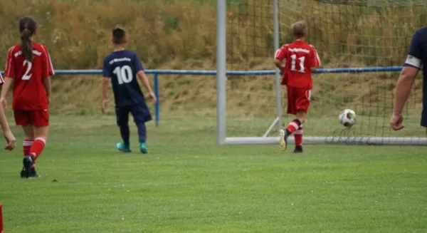 10.06.2018 SV Meuschau II vs. SV Großgräfendorf