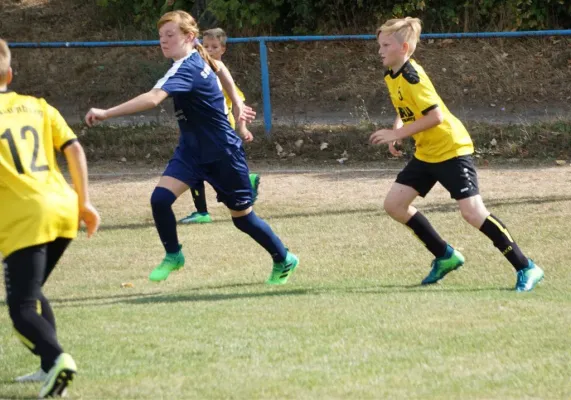 25.08.2018 SV Meuschau vs. SC Naumburg