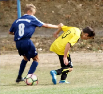 25.08.2018 SV Meuschau vs. SC Naumburg