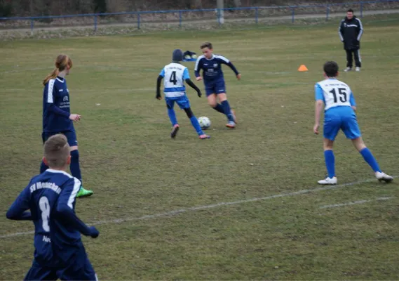 02.03.2019 SV Meuschau vs. SV Traktor Teicha