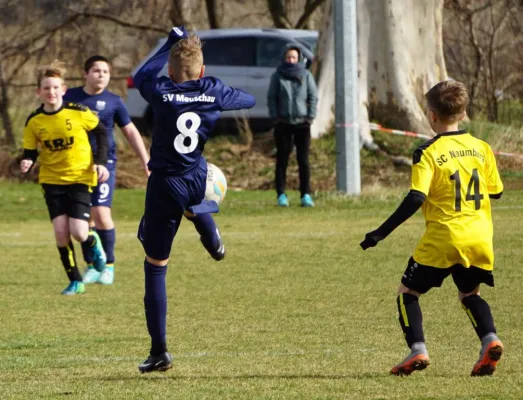 09.03.2019 SC Naumburg vs. SV Meuschau