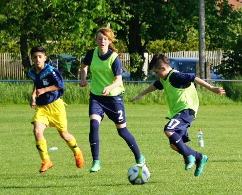 23.05.2019 SV Meuschau vs. FSV 67 Halle