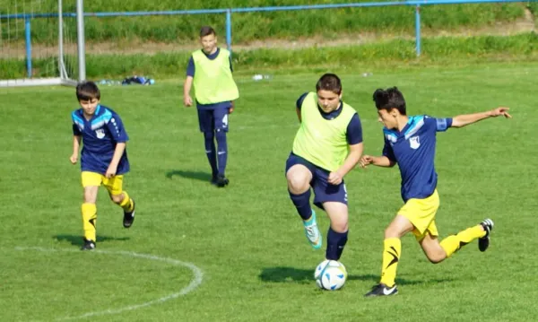 23.05.2019 SV Meuschau vs. FSV 67 Halle