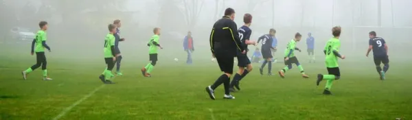 06.04.2019 SV Meuschau vs. VfL Halle 1896 II