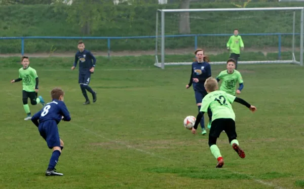 06.04.2019 SV Meuschau vs. VfL Halle 1896 II