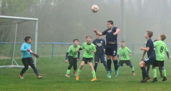 06.04.2019 SV Meuschau vs. VfL Halle 1896 II