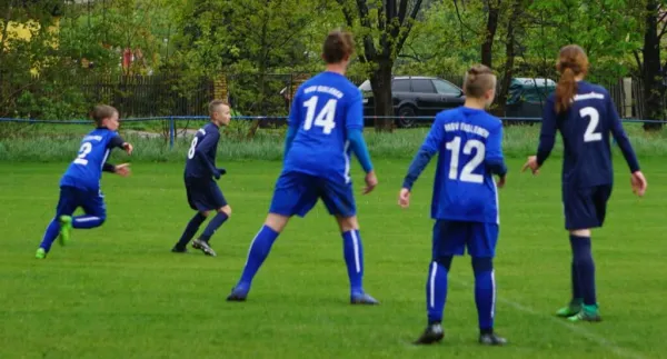 04.05.2019 SV Meuschau vs. MSV Eisleben