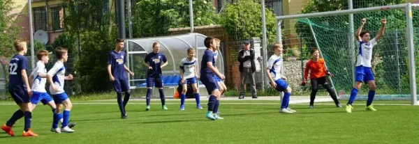 18.05.2019 Turbine Halle vs. SV Meuschau