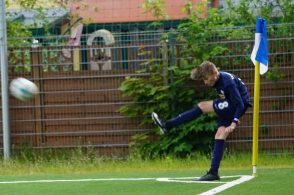 18.05.2019 Turbine Halle vs. SV Meuschau