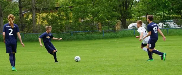 25.05.2019 SV Meuschau vs. FSV Bennstedt