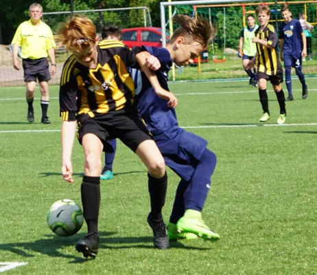 01.06.2019 SG Bernburg vs. SV Meuschau