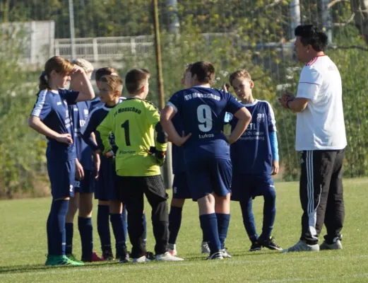 13.10.2018 SV Merseburg 99 vs. SV Meuschau