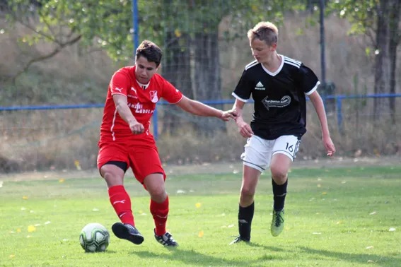 13.08.2019 SV Meuschau vs. BSV Halle Ammendorf