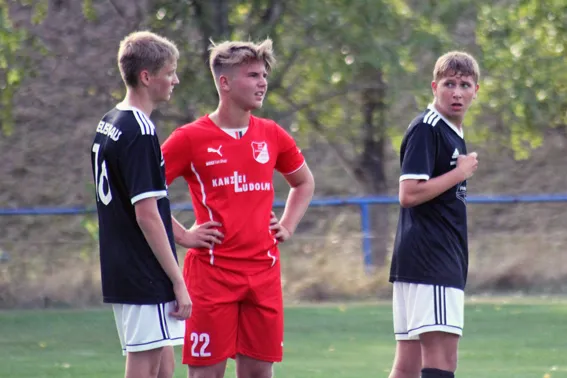 13.08.2019 SV Meuschau vs. BSV Halle Ammendorf