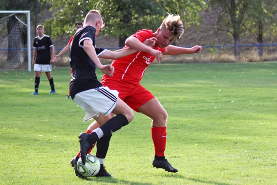 13.08.2019 SV Meuschau vs. BSV Halle Ammendorf