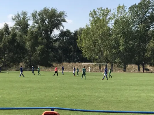 24.08.2019 SV Meuschau vs. GW Piesteritz