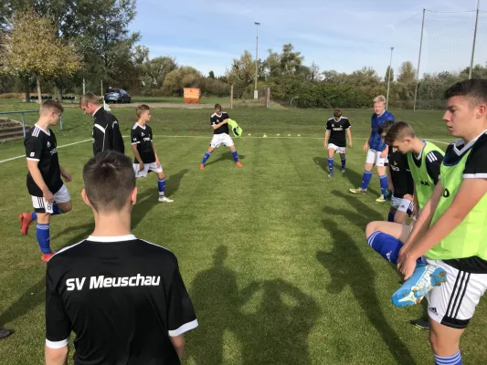 26.10.2019 SV Dessau 05 vs. SV Meuschau